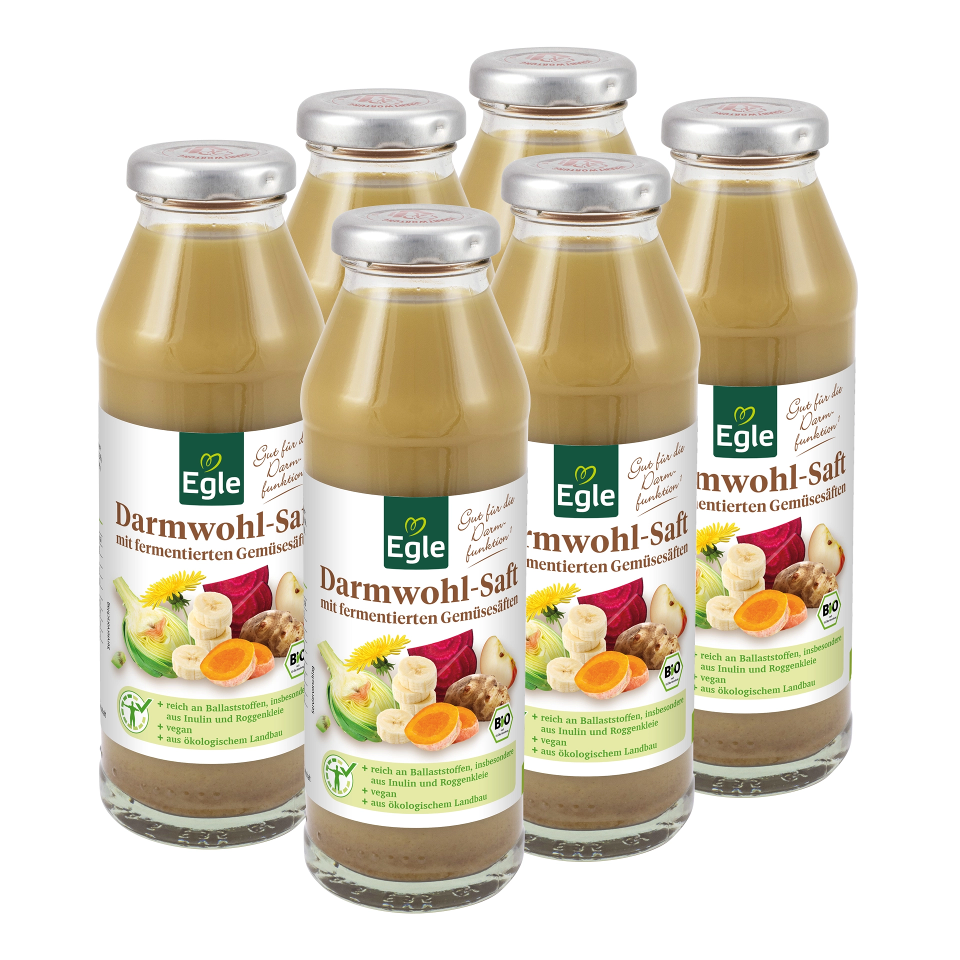 Bio Darmwohl Saft, 6 x 280 ml