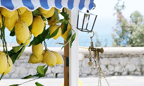 Limoncello Zitronen an Verkaufswagen